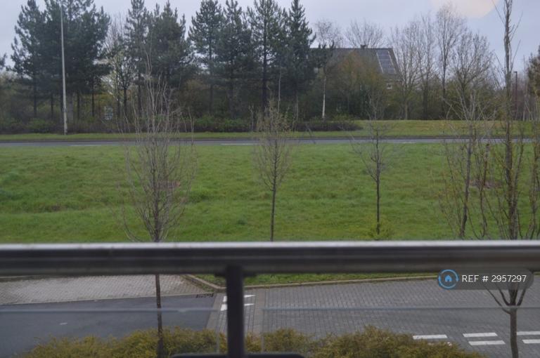House Wizard Way in Milton Keynes