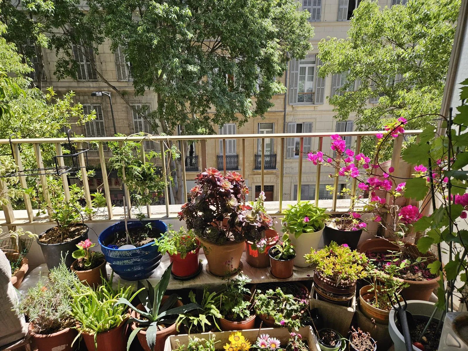 Chambre Boulevard Longchamp à Marseille