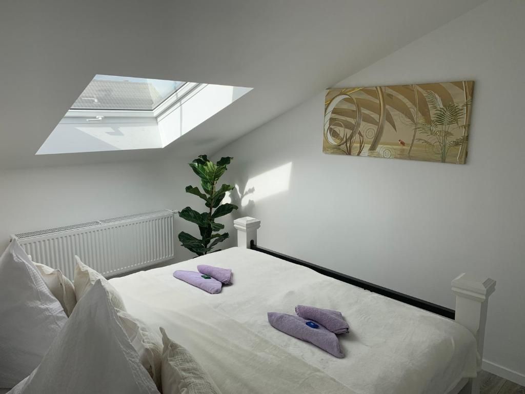 Wohnung Wachhausstraße in Karlsruhe