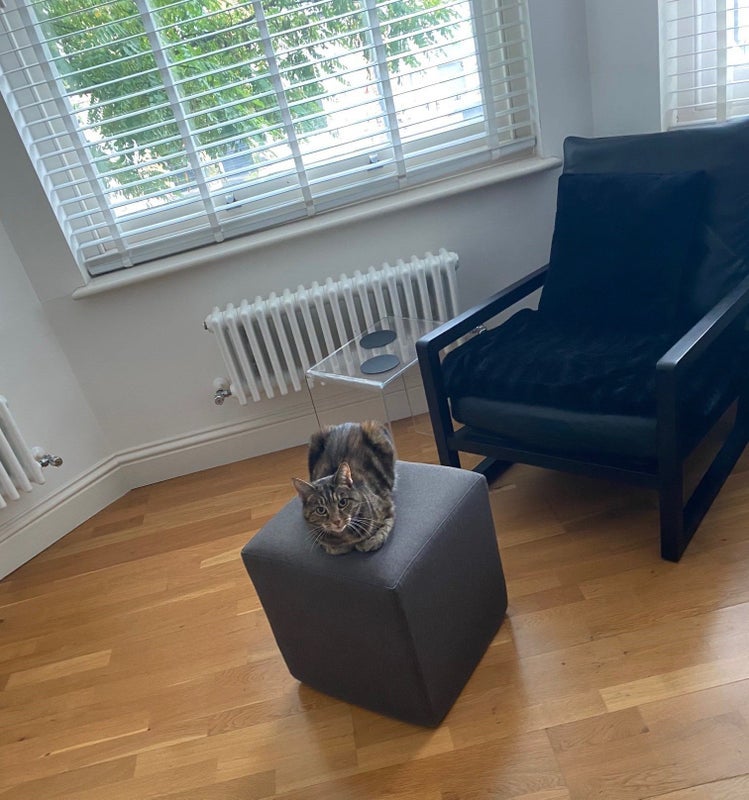 Room Brodrick Road in Greater London