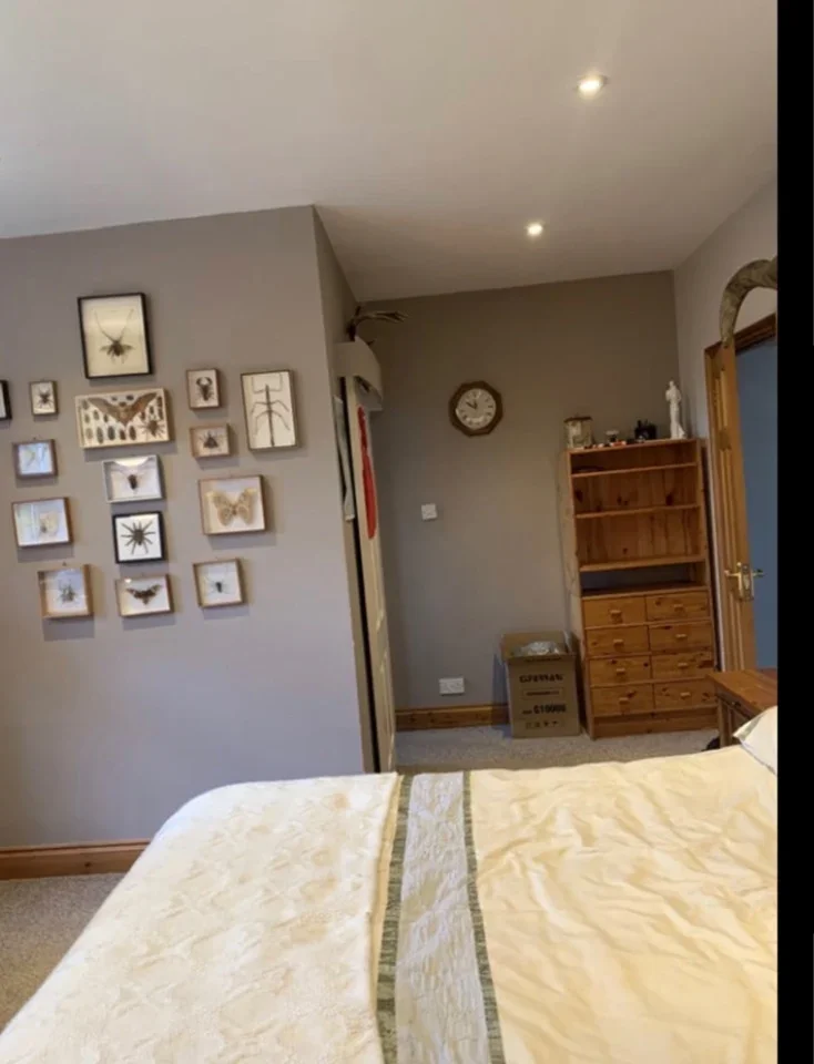 Room Beech Way in Greater London