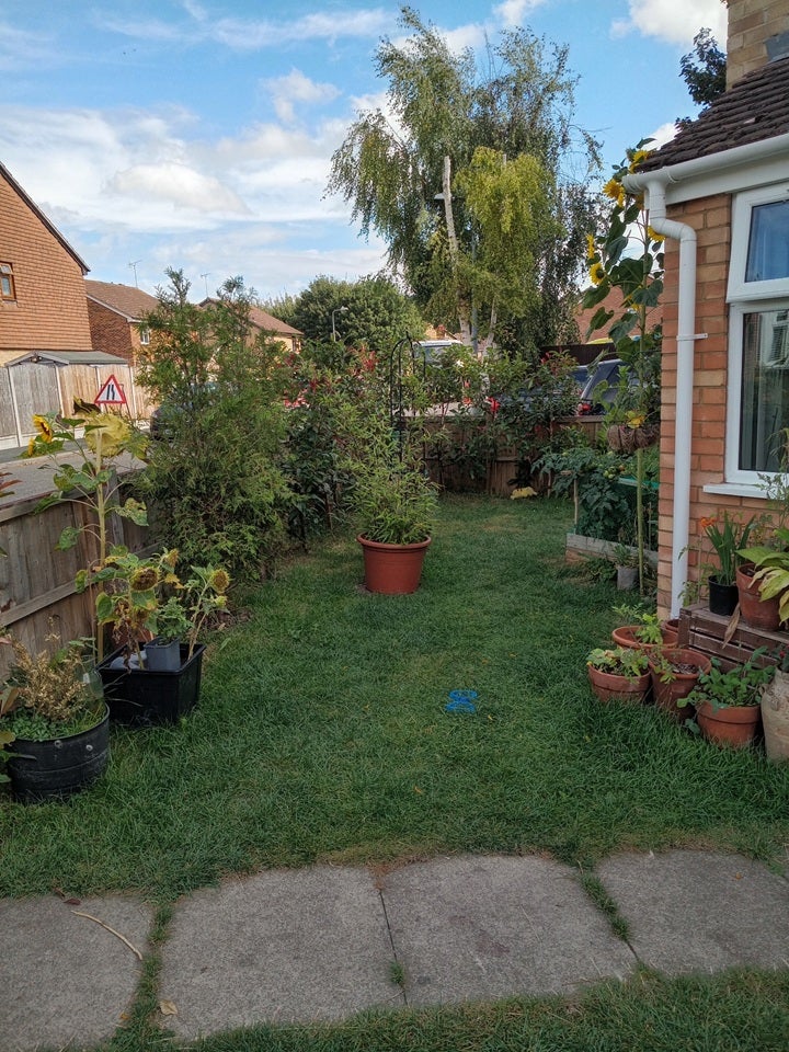 House Curling Lane in Grays