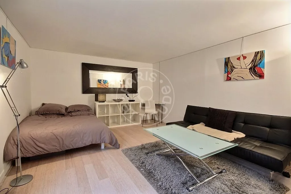 Flat Rue Dussoubs in Paris