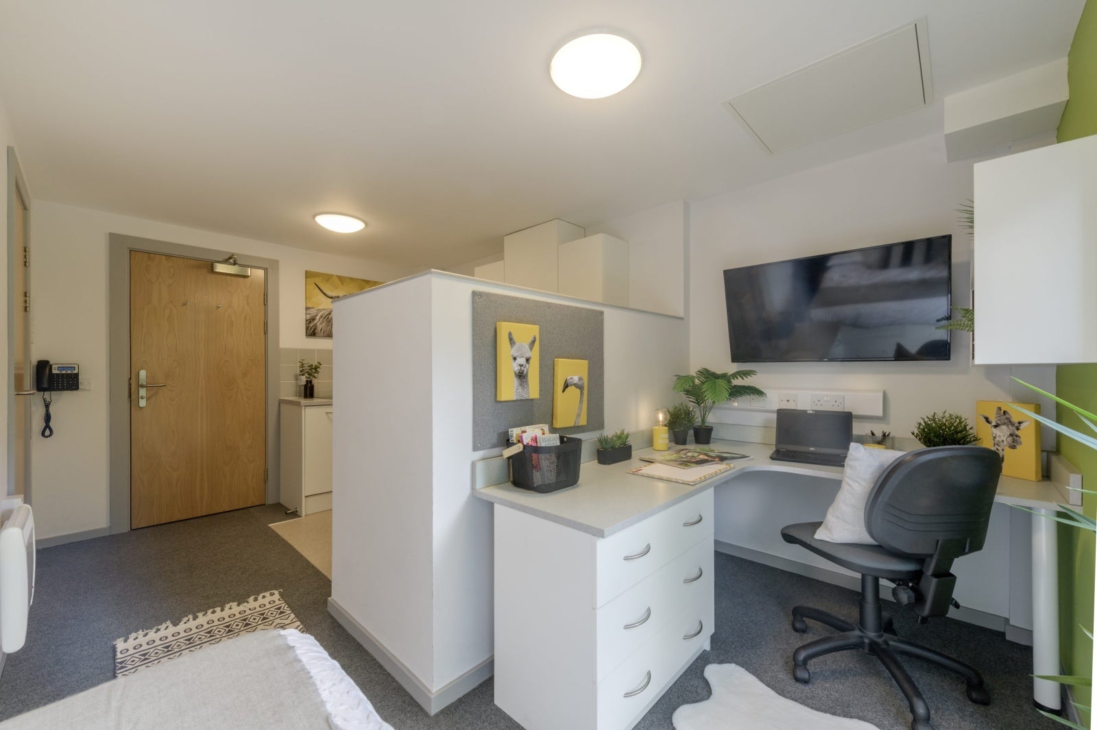 Room Portland Road in Newcastle upon Tyne