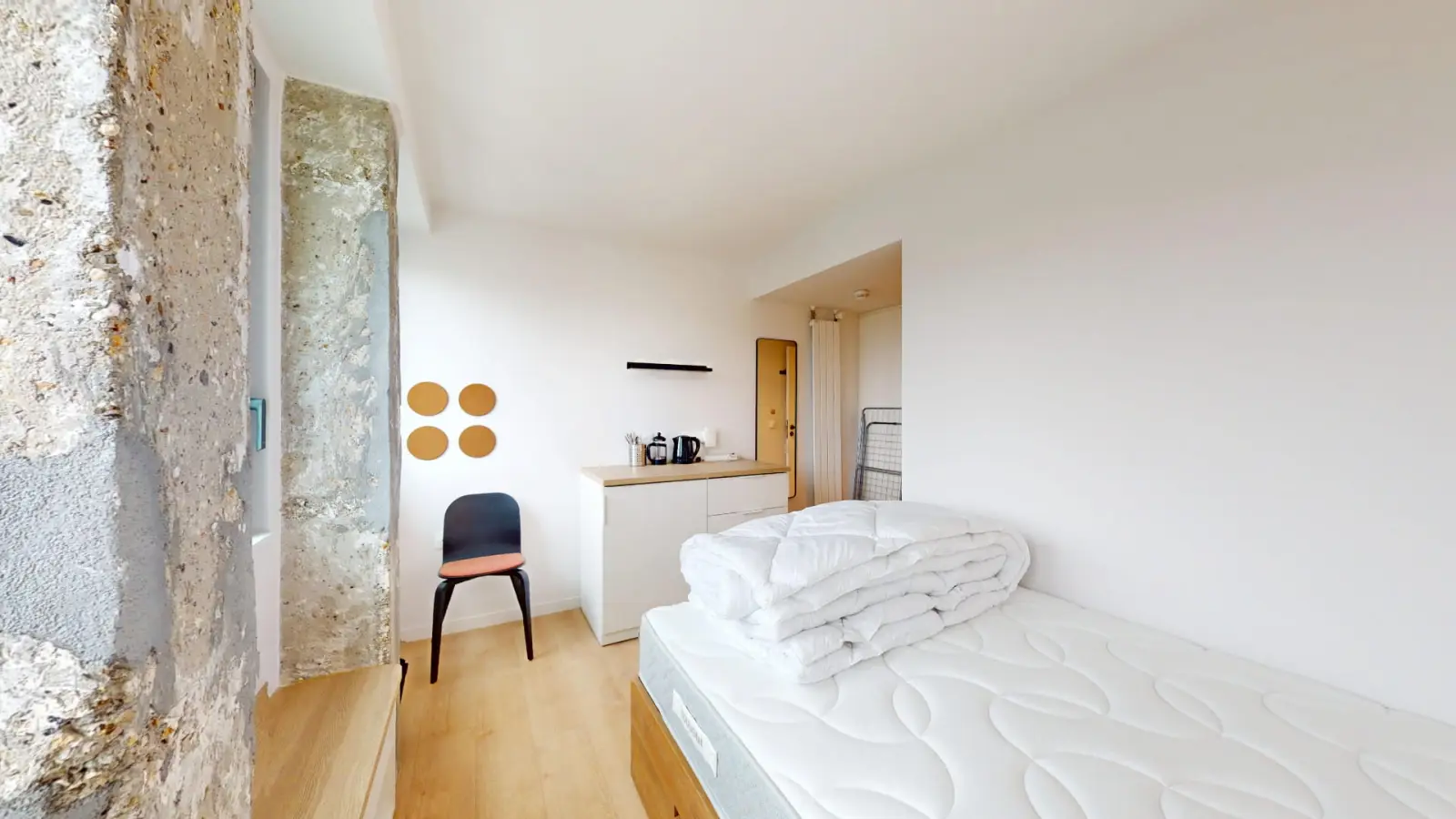 Room Rue du Colonel Colonna d'Ornano in Paris