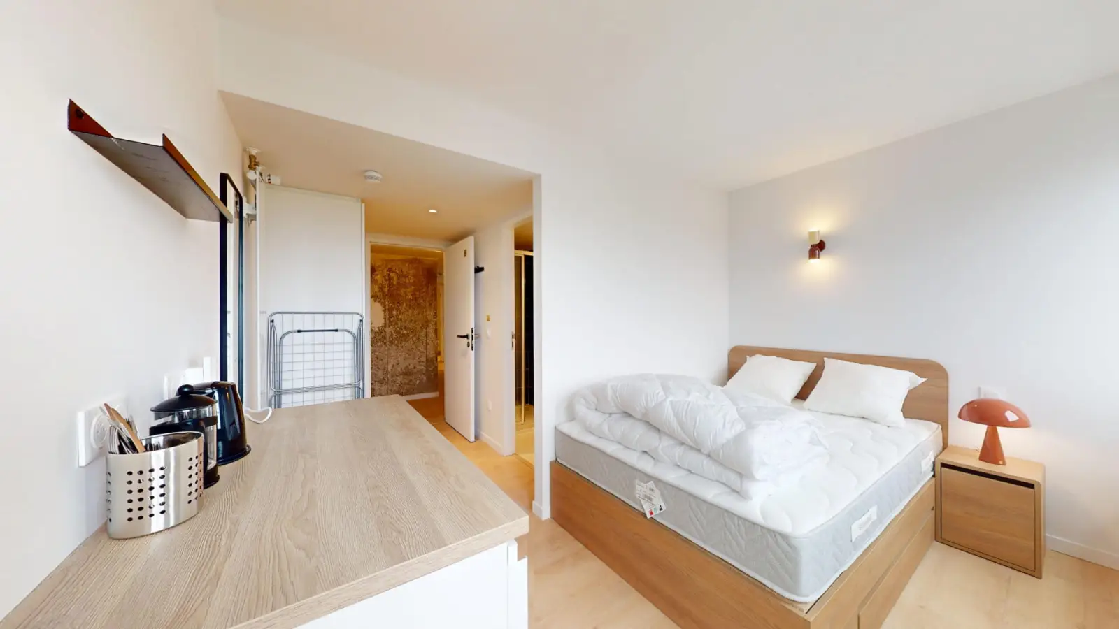Room Rue du Colonel Colonna d'Ornano in Paris
