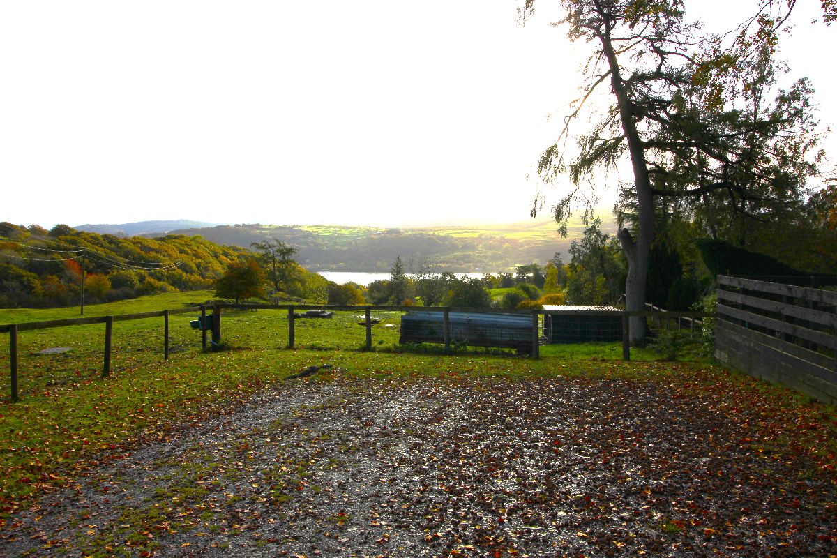 House A494 in Llanycil