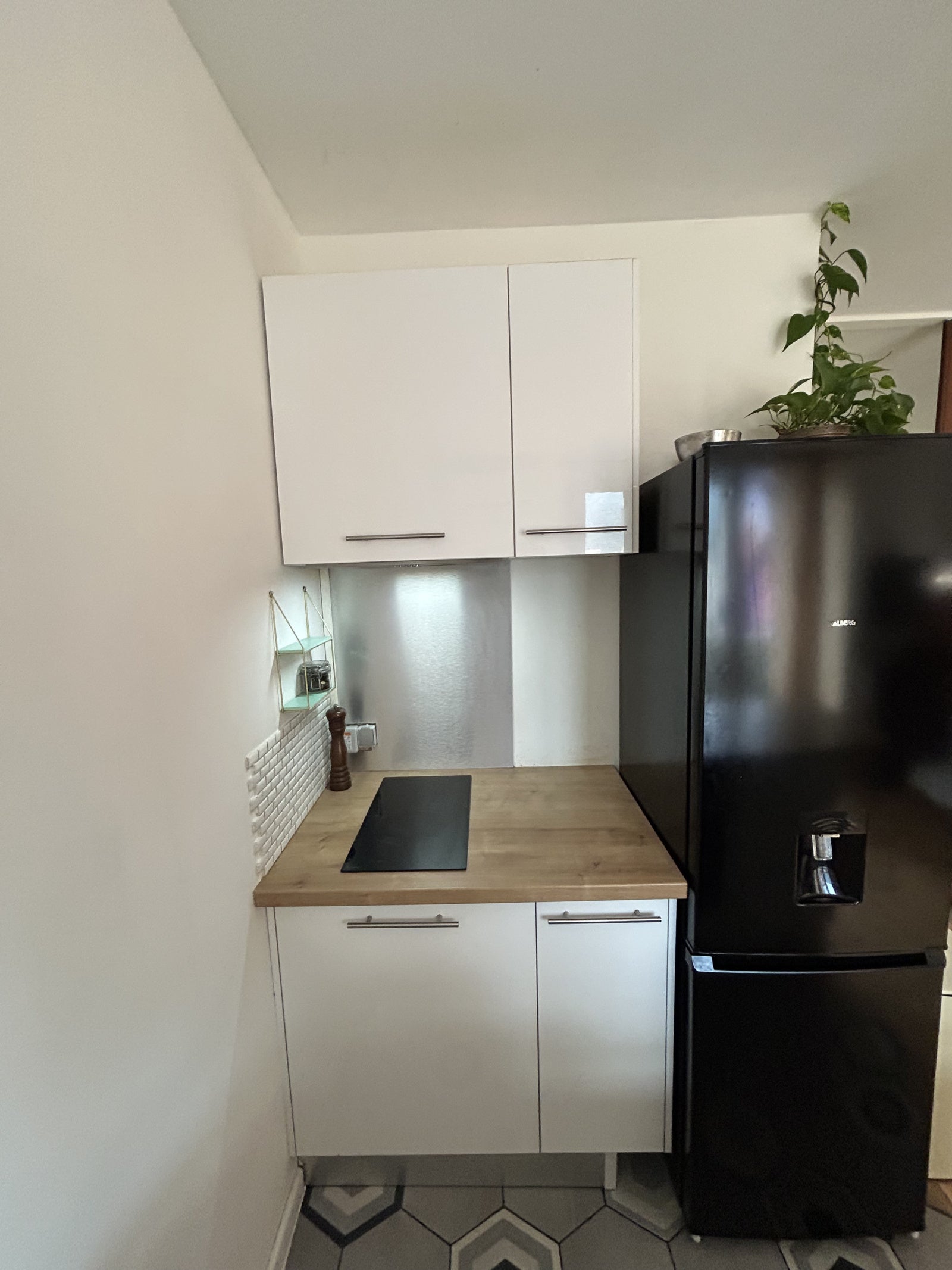 Flat Rue Parmentier in Grenoble