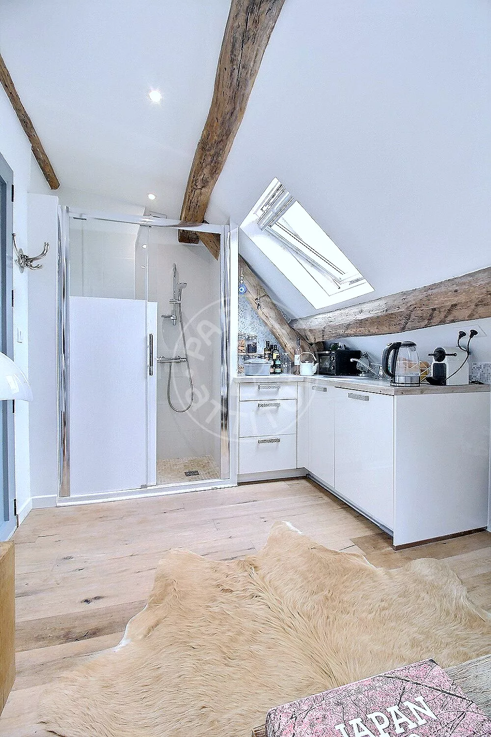 Appartement Rue de Furstemberg à Paris