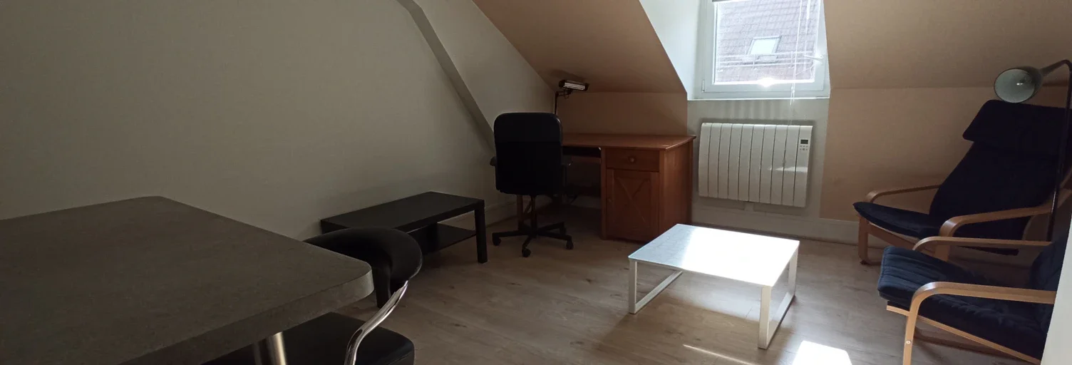 Flat Rue Paul Bert in Grenoble