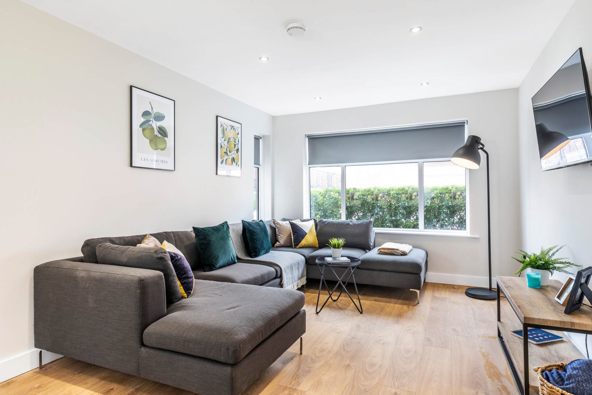 House Mayville Terrace in Leeds