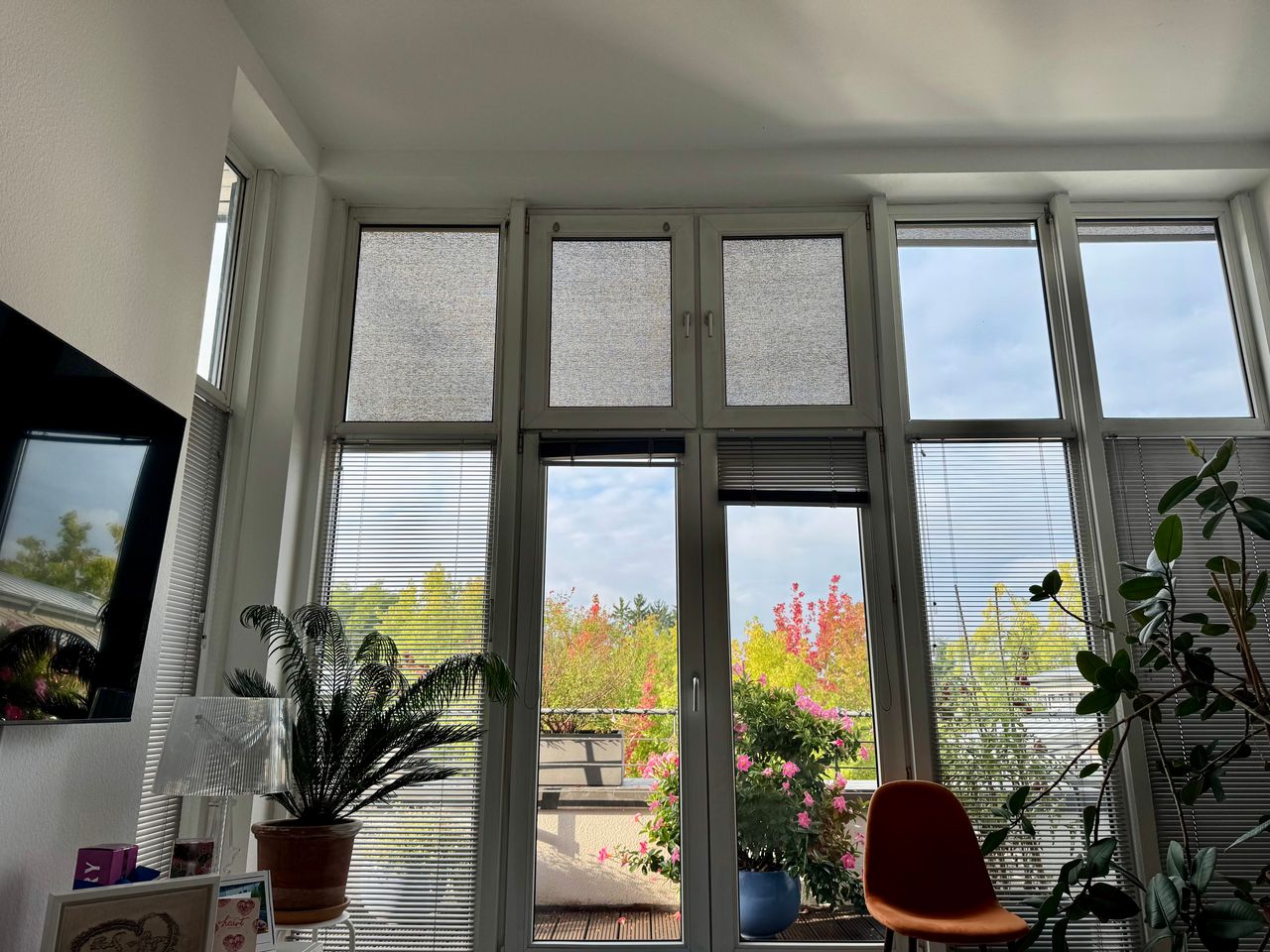 Wohnung Am Beethovenpark in Köln