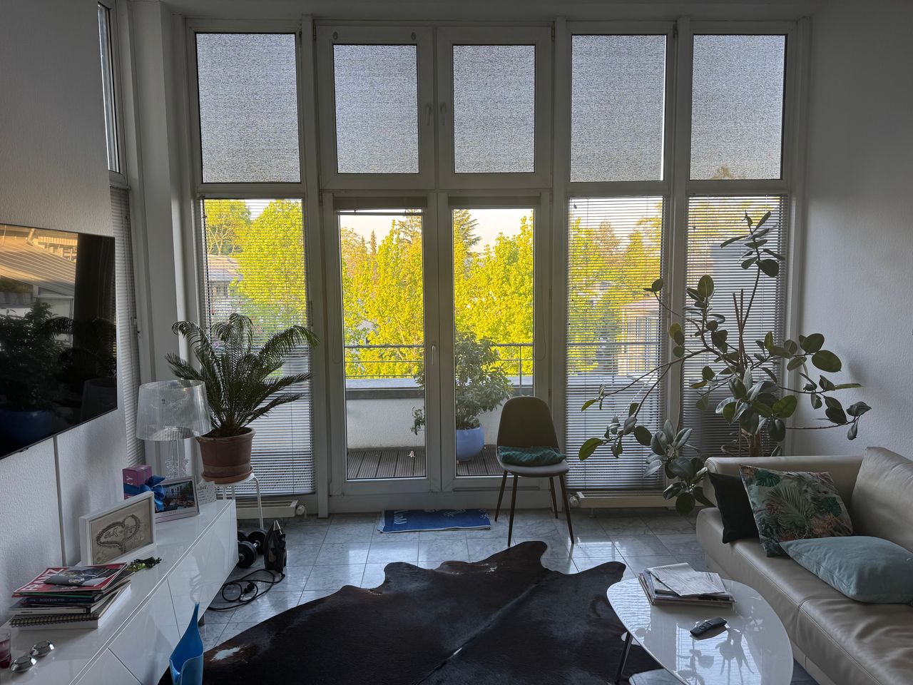 Wohnung Am Beethovenpark in Köln