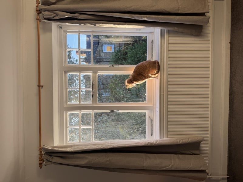 Room Adley Street in Greater London