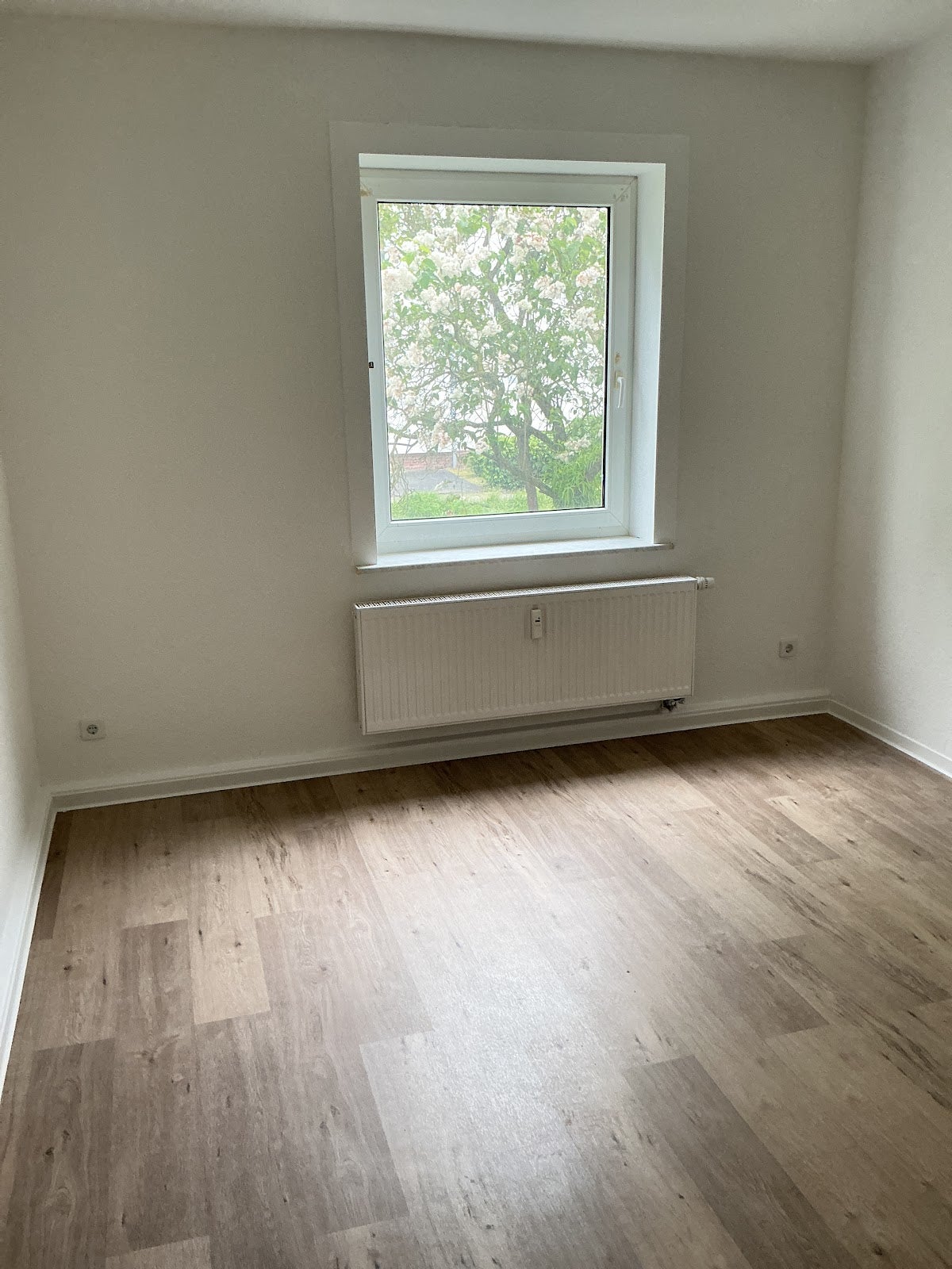 Wohnung Haydnstraße in Brandenburg an der Havel