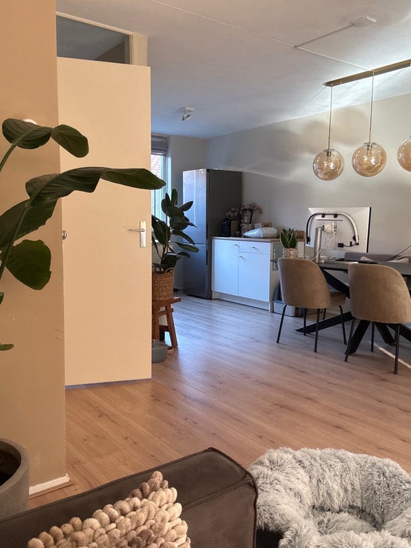 Appartement te huur in Nijmegen – Plataanstraat – foto 1