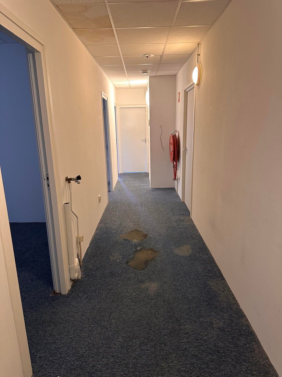 Kamer Tuinen 5