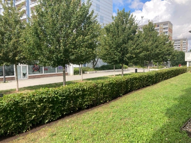 Wohnung Berliner Straße in Erfurt