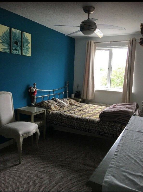 Room Columbia Avenue in Livingston