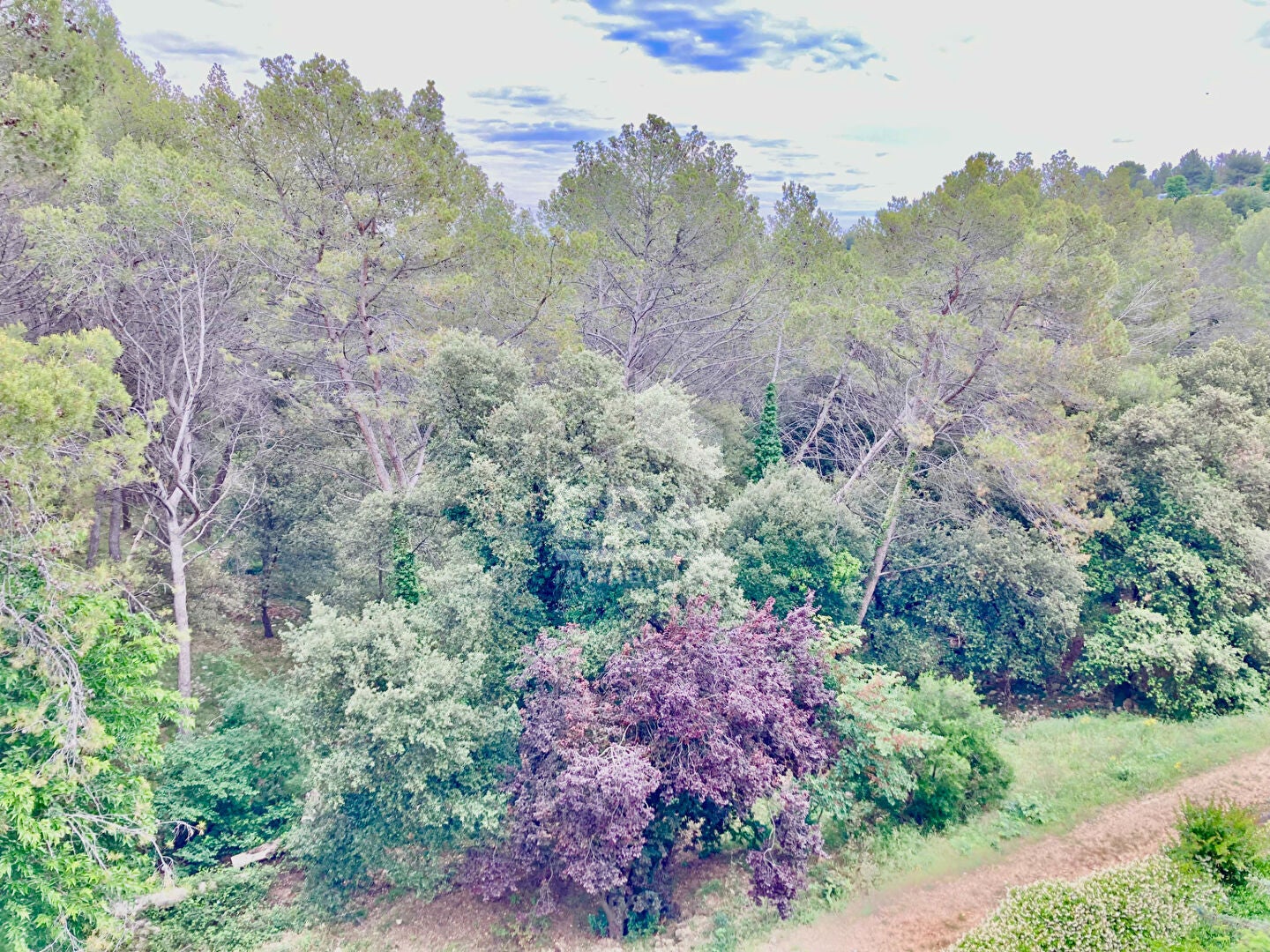 Appartement Chemin du Peyloubier à Peymeinade
