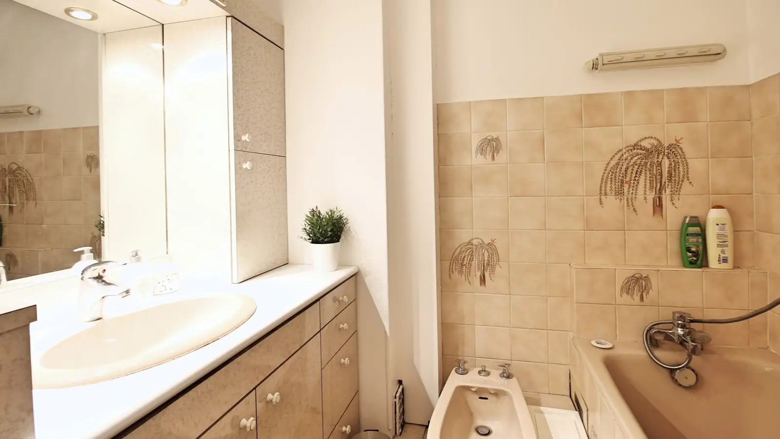 Appartement Rue des Pyrénées à Paris