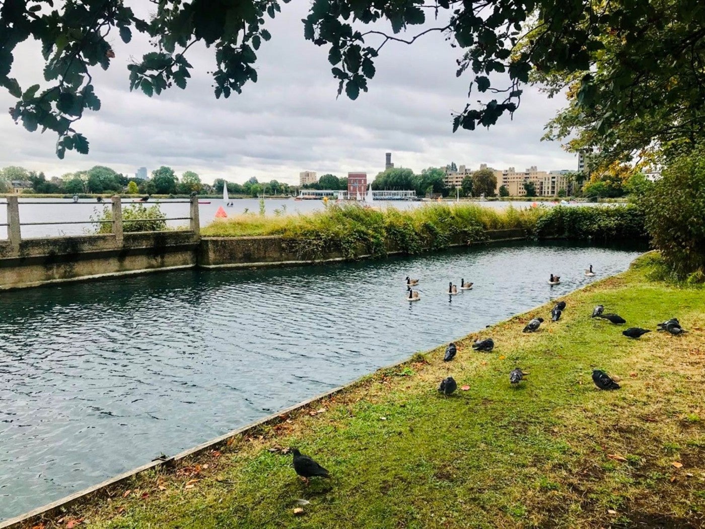 Flat Green Lanes Walk in Greater London
