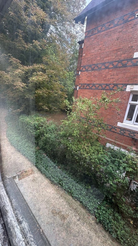 Room Thicket Road in Greater London