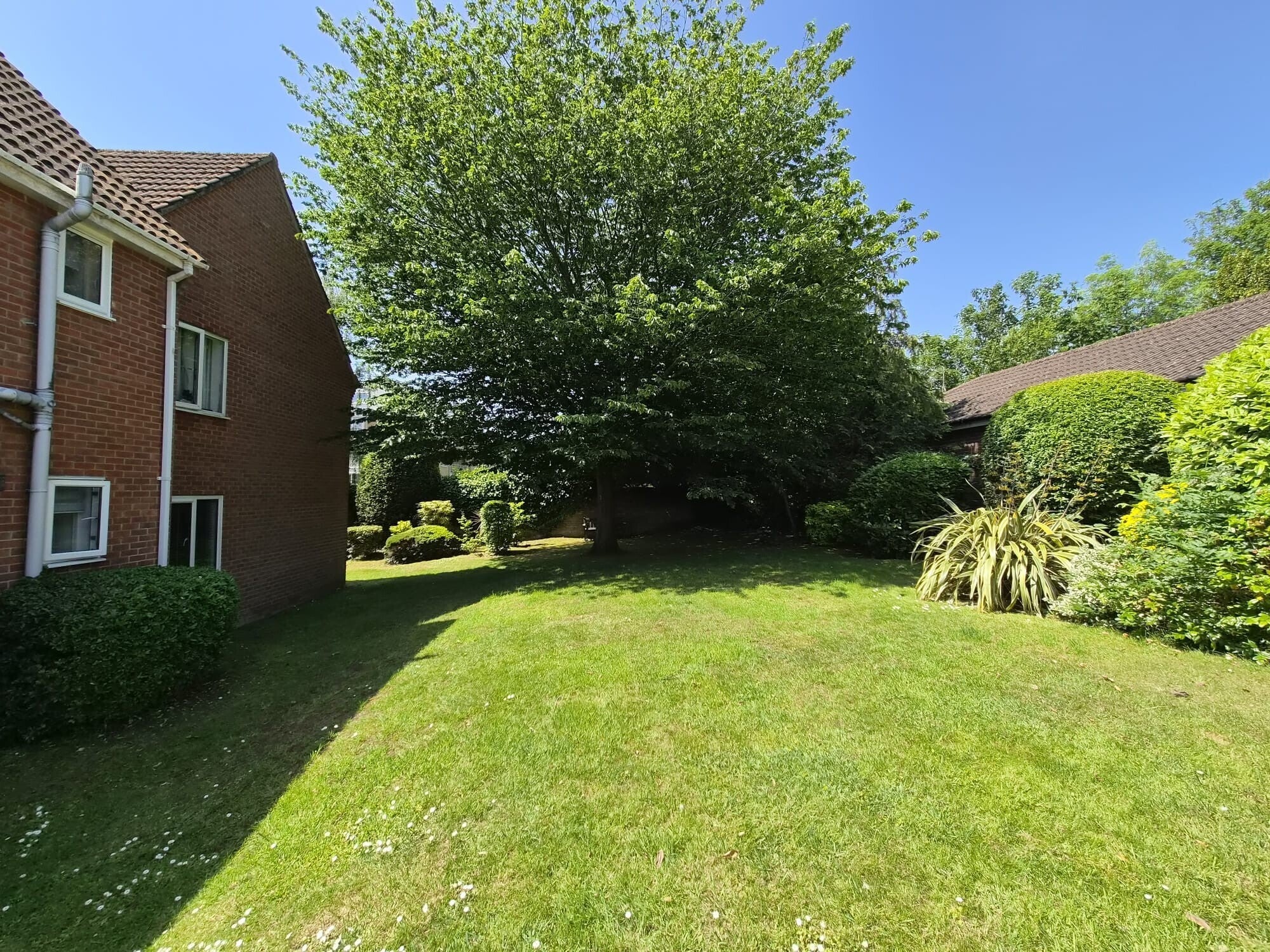 Flat Westwood Road in Southampton