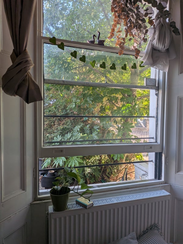 Room Albion Road in Greater London