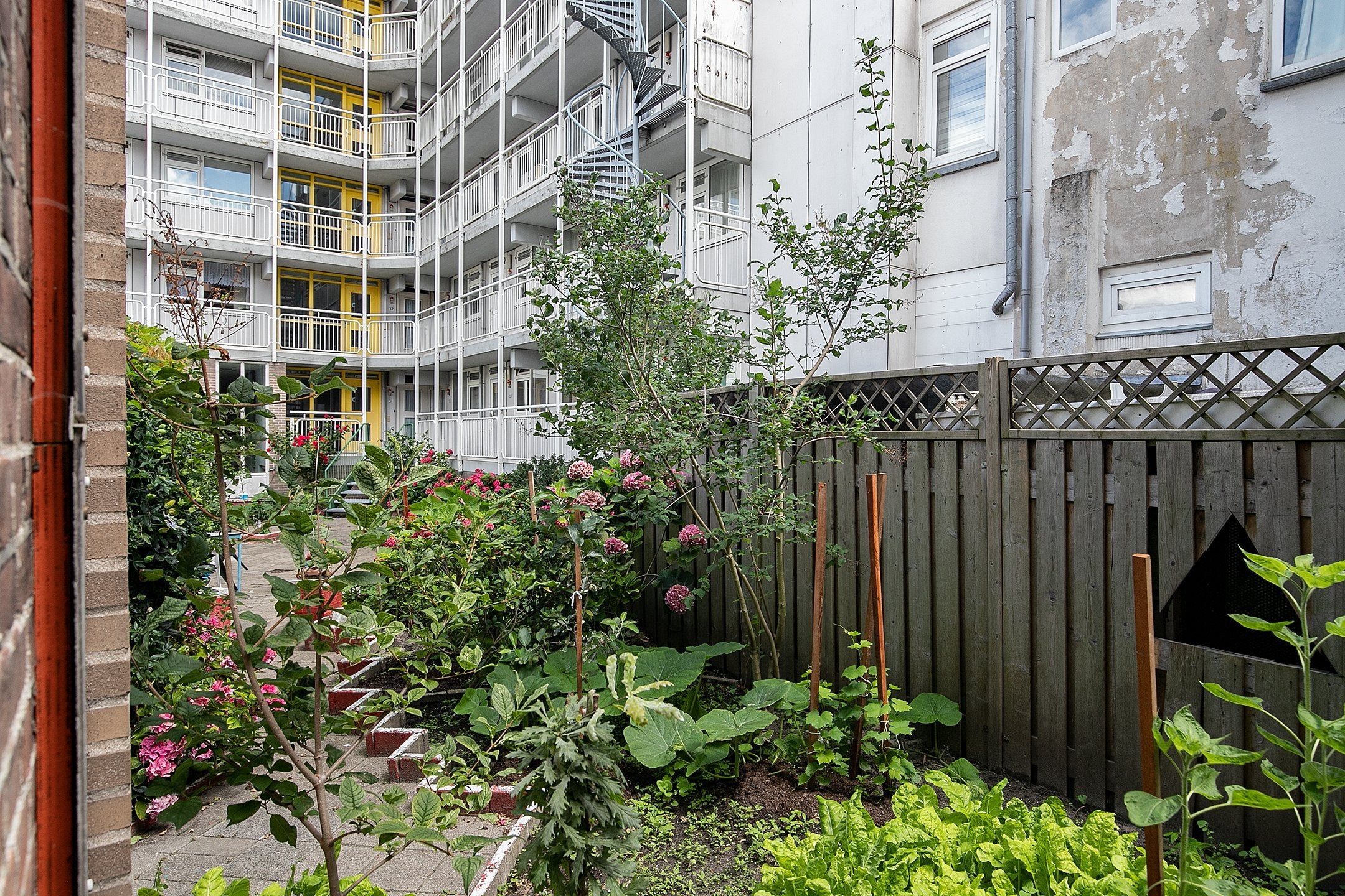 Appartement Zwederstraat 14