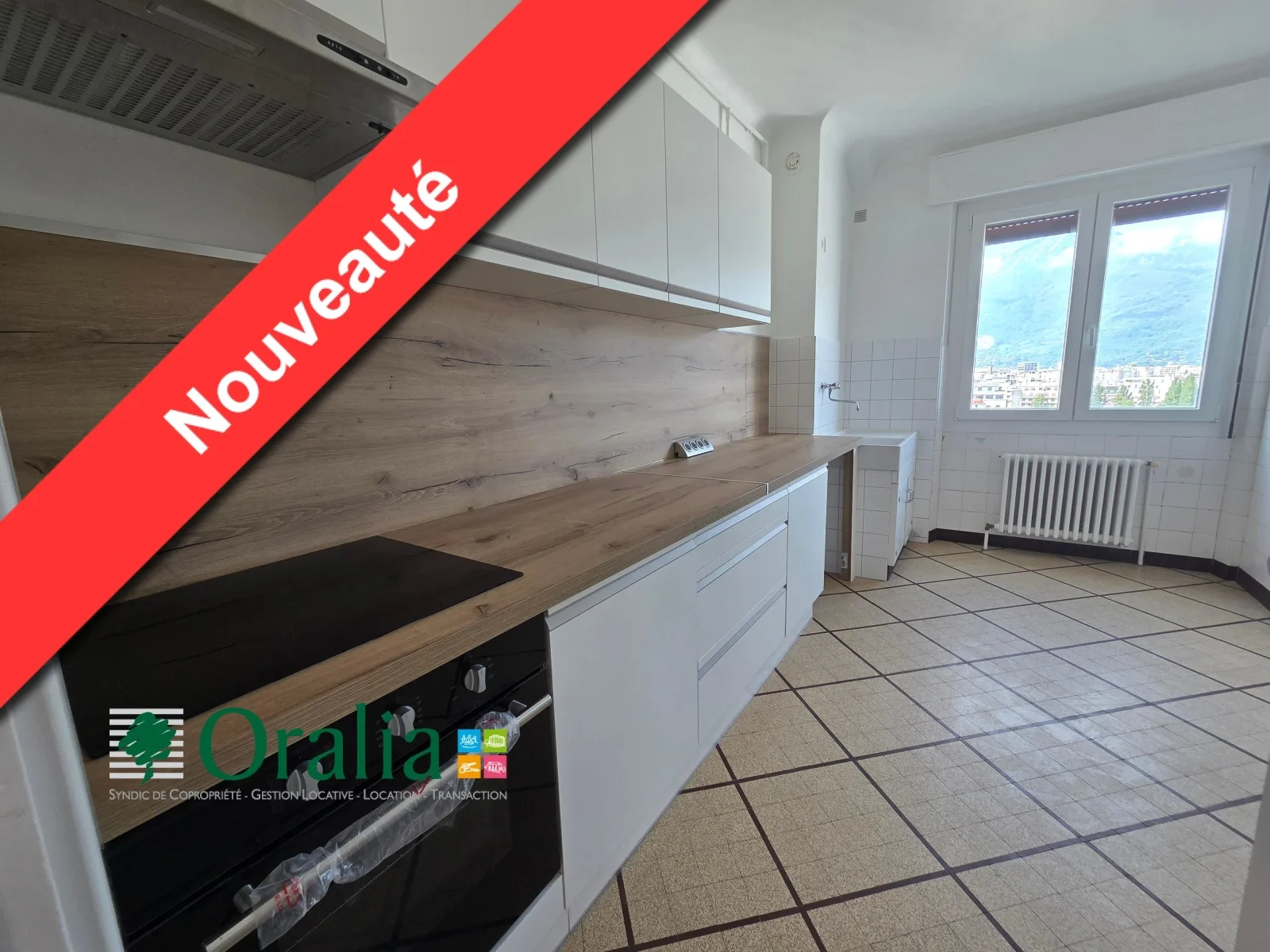 Flat Place Paul Mistral in Grenoble