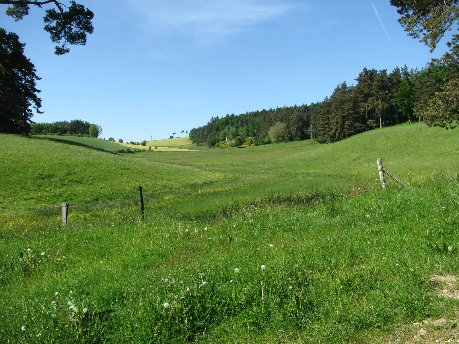 Chambre Chemin de Fougère à Saint-André-en-Vivarais