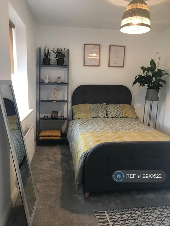 Room Trem Y Rhyd in Cardiff
