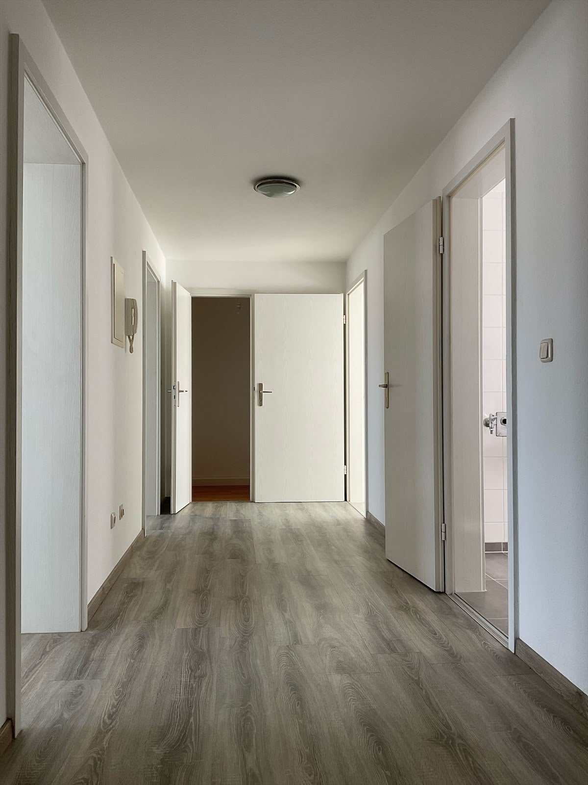 Wohnung Meißner Straße in Leipzig