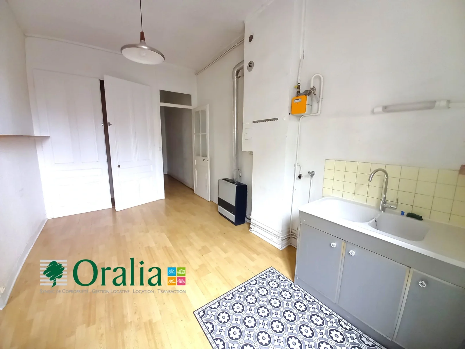 Appartement Cours Tolstoï à Villeurbanne