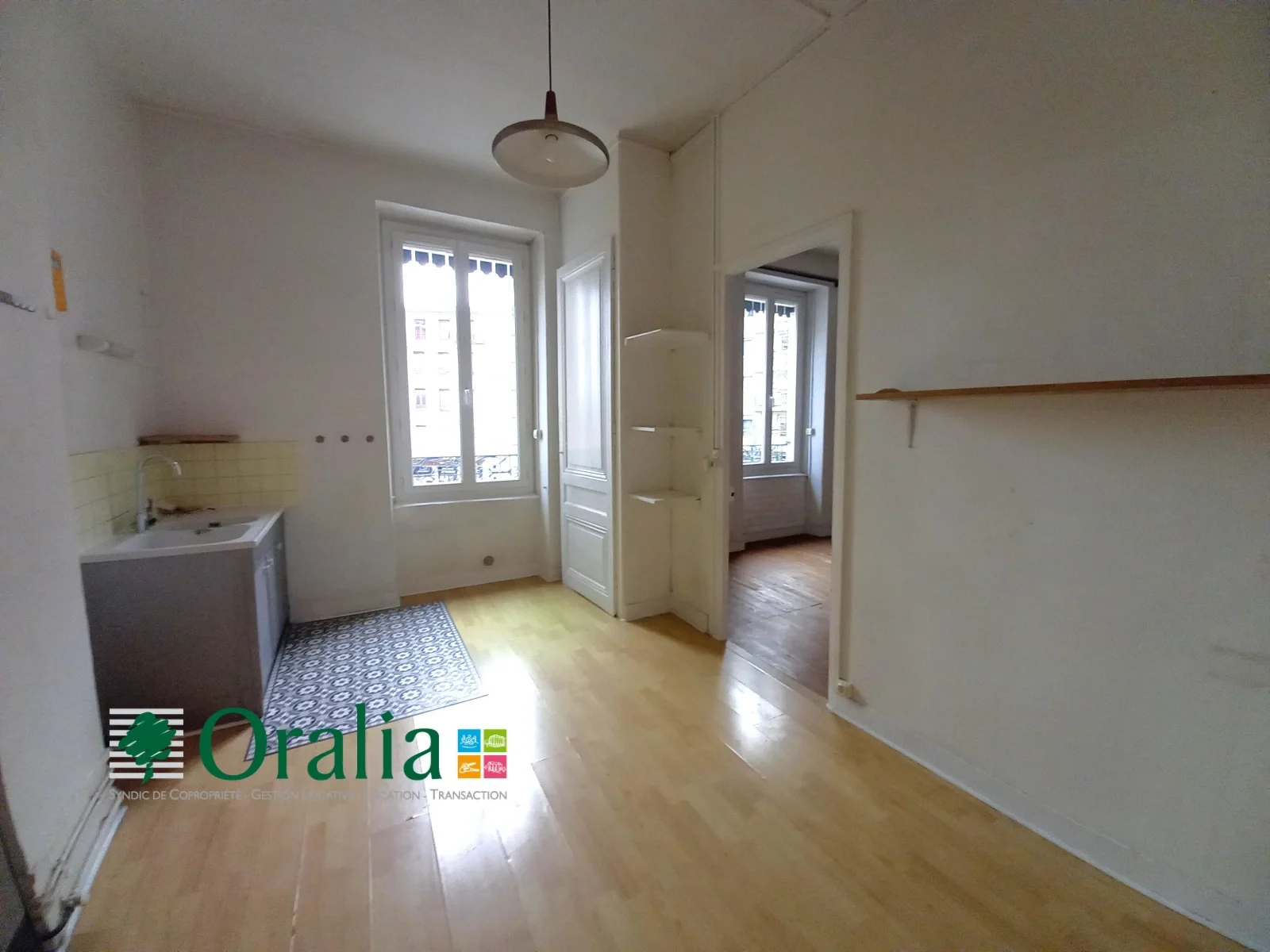 Appartement Cours Tolstoï à Villeurbanne