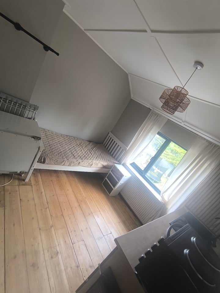 Room Godwin Road in Portslade by Sea