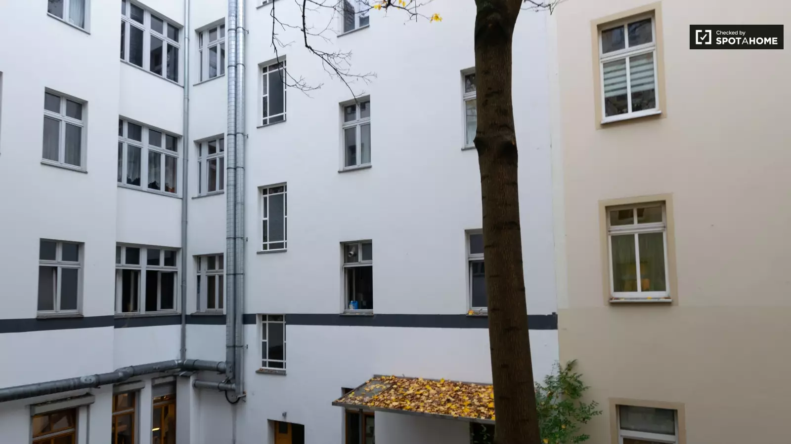 Wohnung Konrad-Wolf-Straße in Berlin