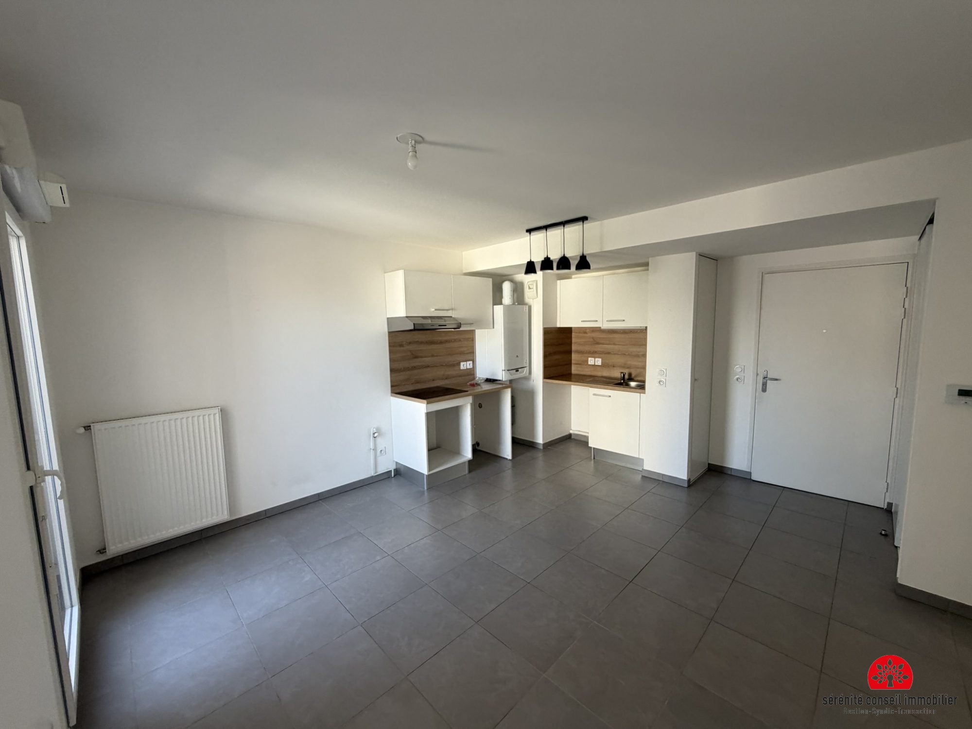 Flat Rue du Professeur Beauvisage in Lyon