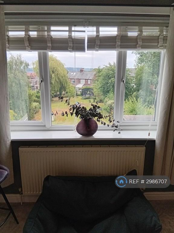 Room Alms Hill Road in Sheffield