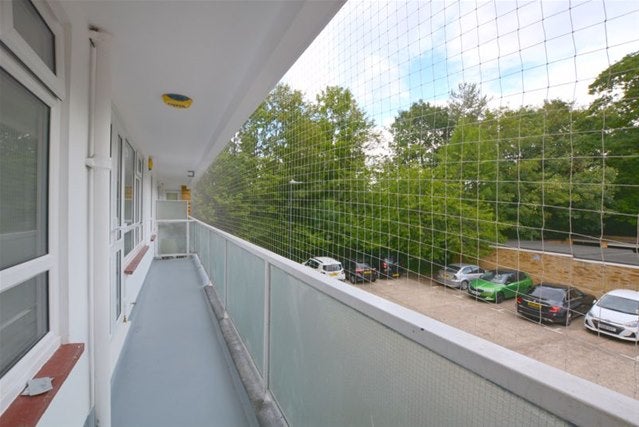 Flat Dove Park in Greater London