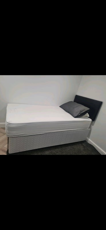 Room Elderberry Way in Greater London