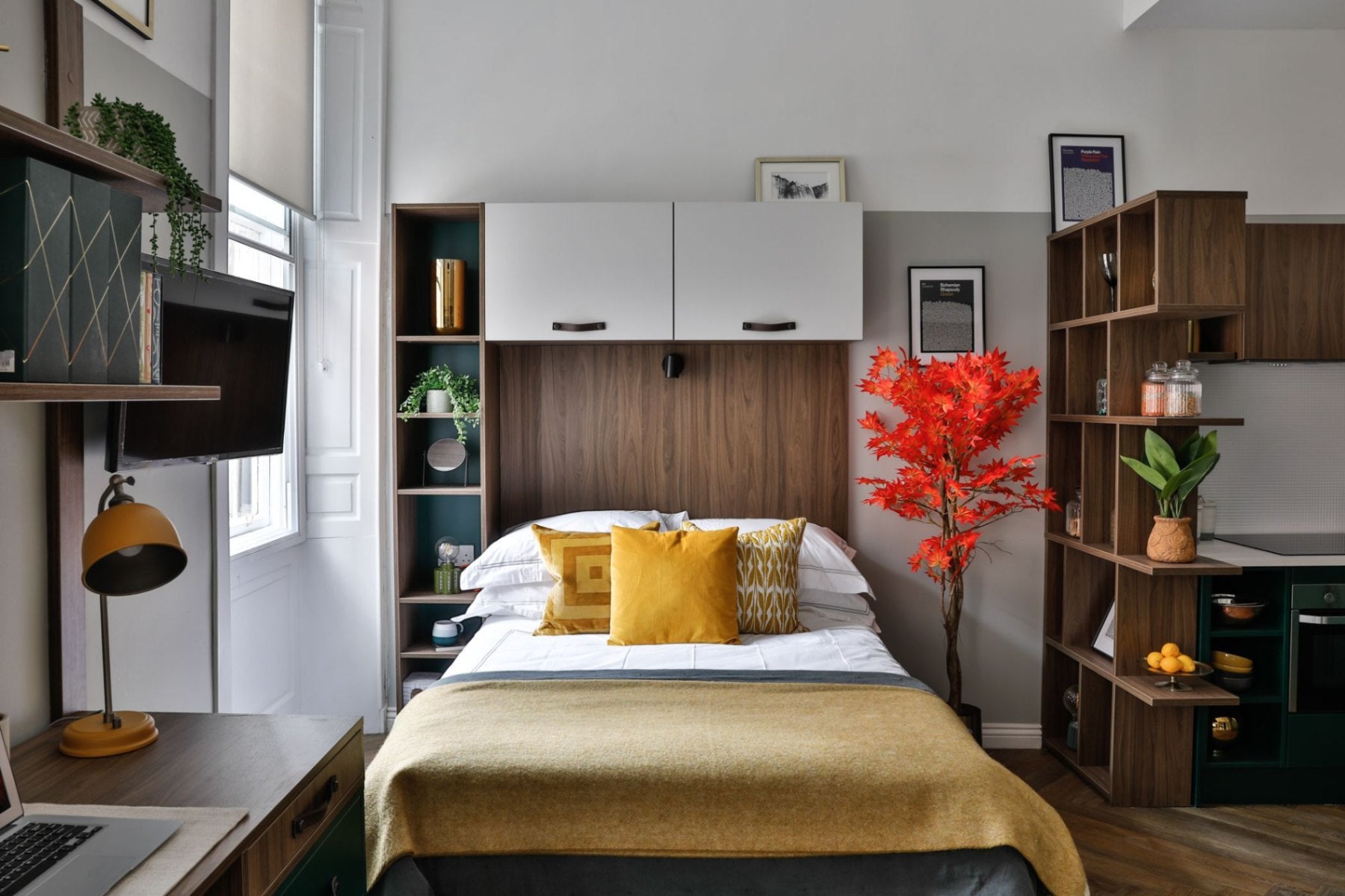 Room Infirmary Street in City of Edinburgh