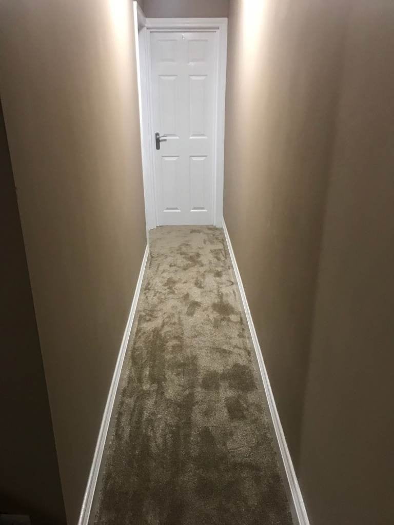 Room Sweetbriar Road in Leicester