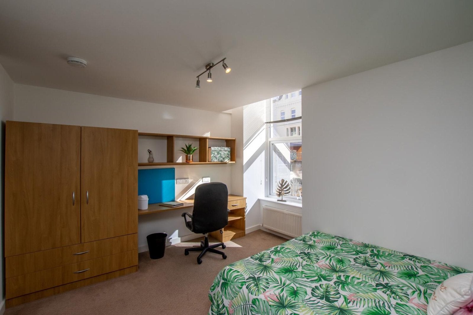 Flat Finsbury Lane in Plymouth