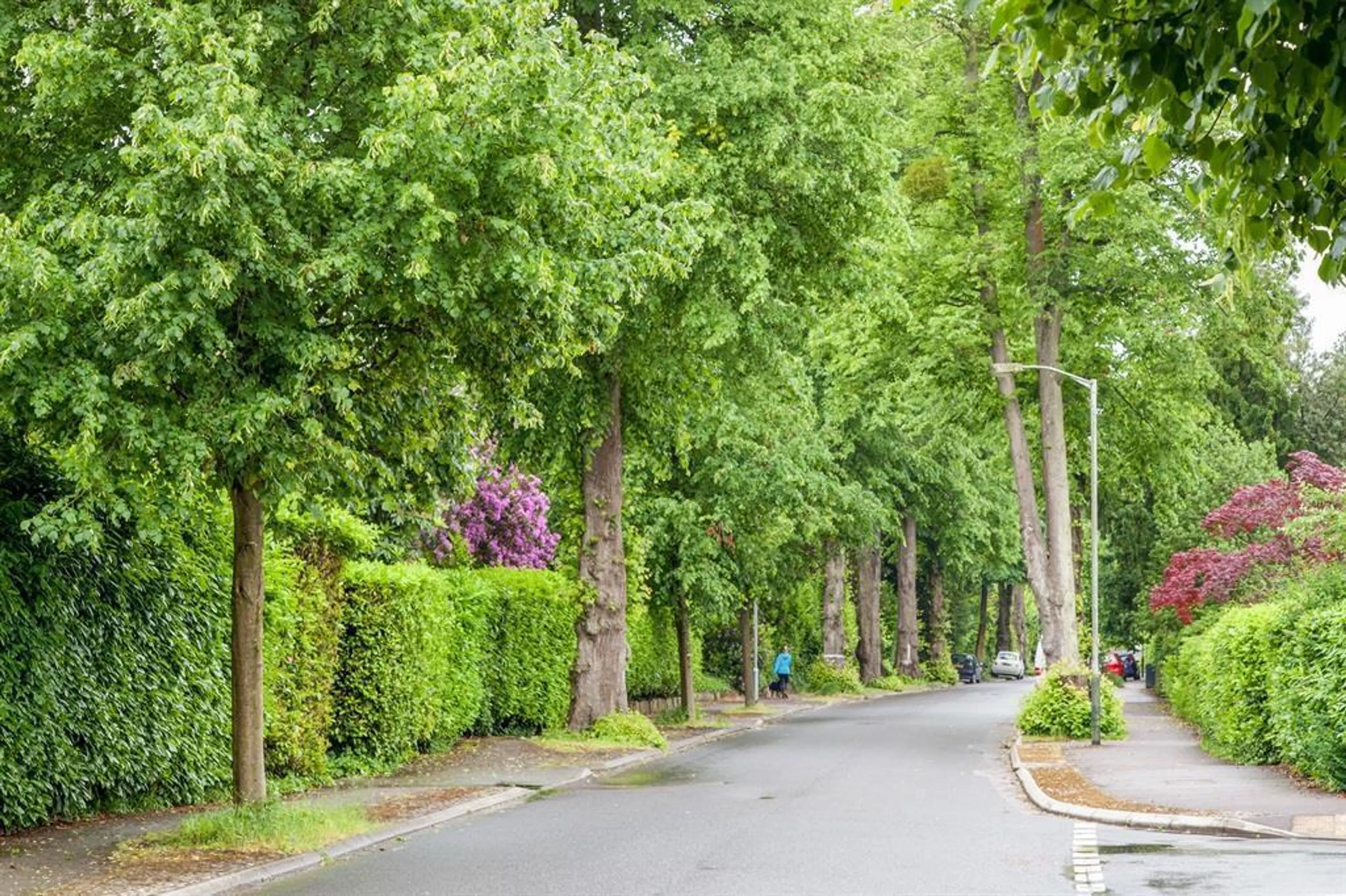 Flat Broadwater Down in Tunbridge Wells