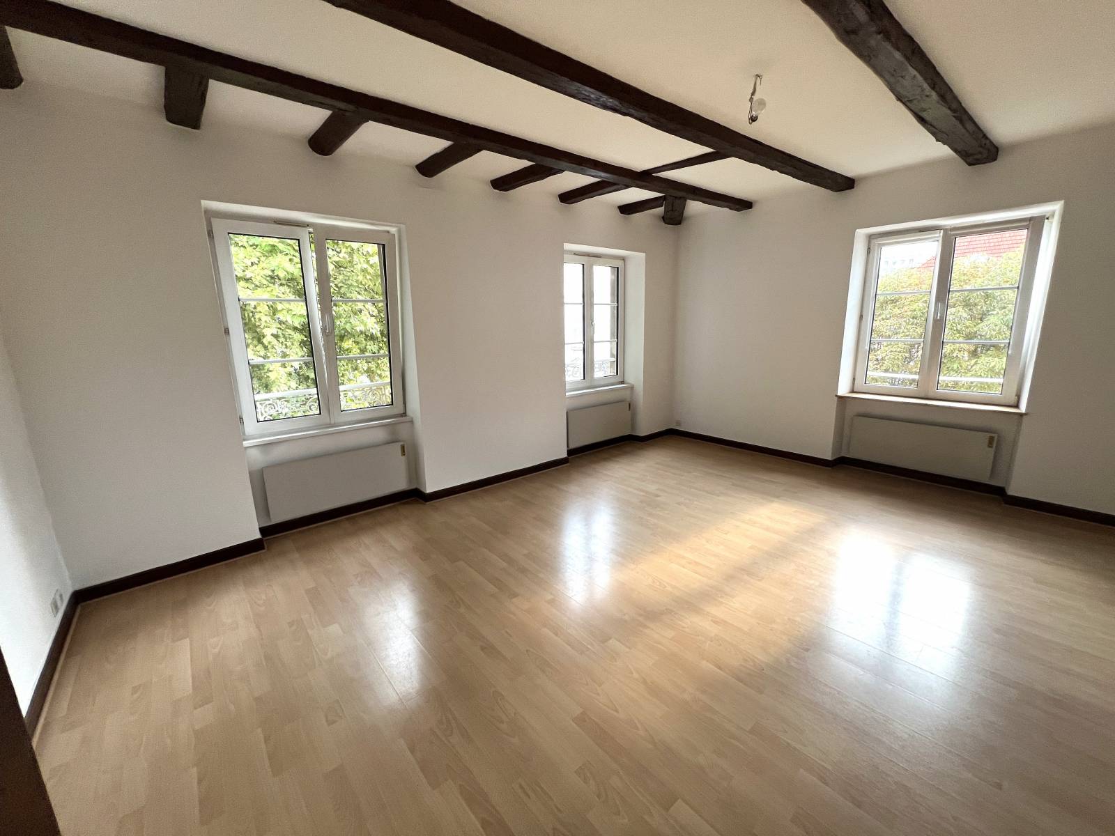 Flat Rue de la Krutenau in Strasbourg