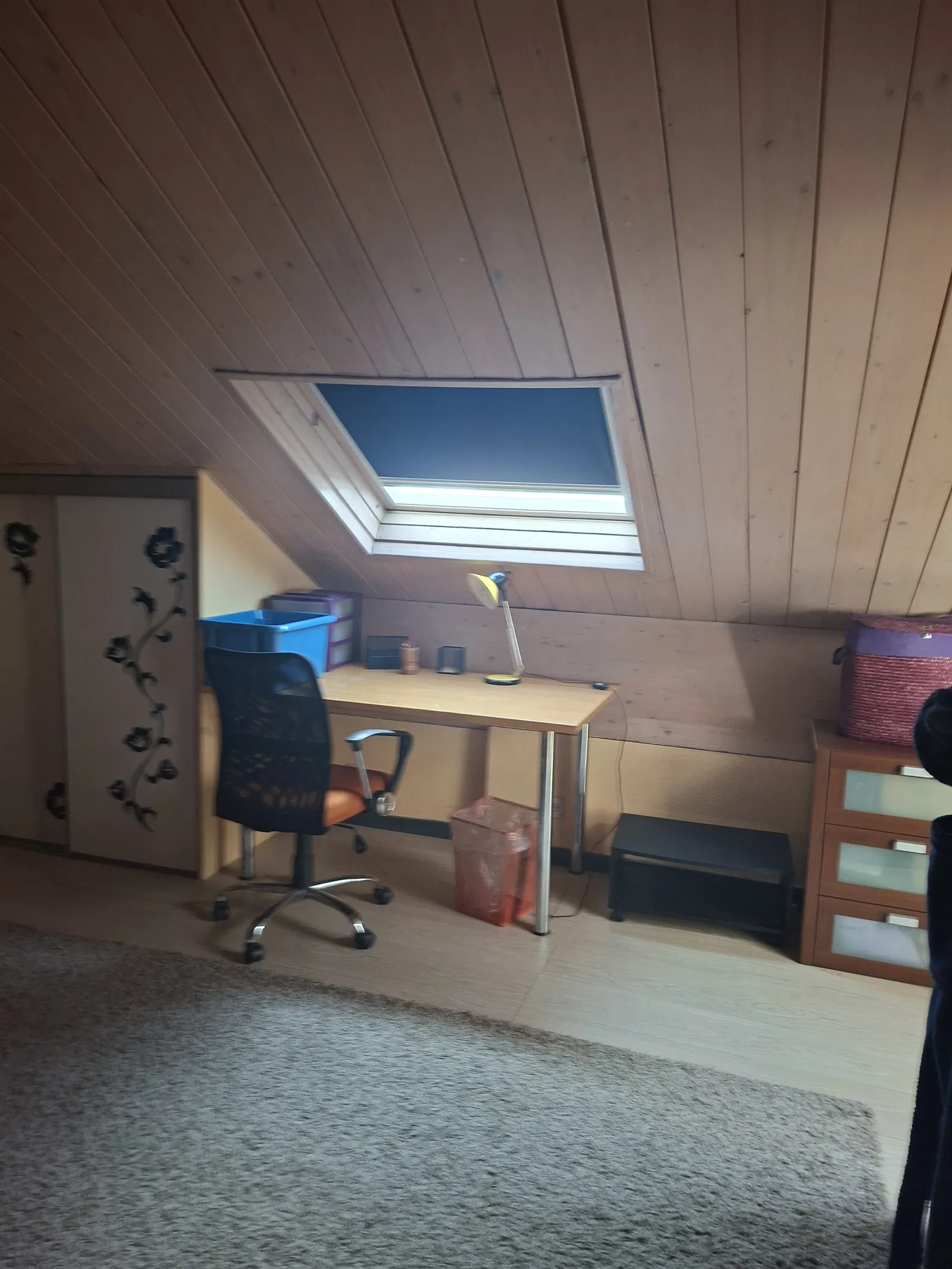 Room Avenue Voltaire in Ferney-Voltaire