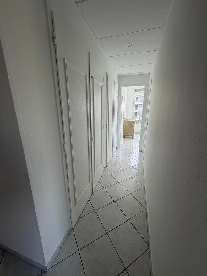 Flat Avenue Roger Salengro in Villeurbanne
