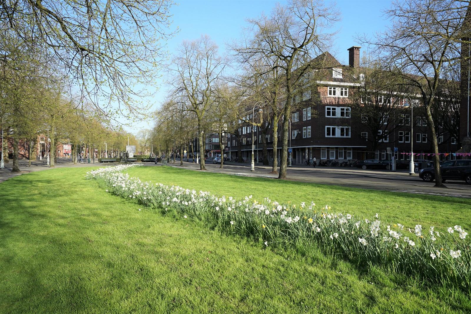 Flat Apollolaan in Amsterdam